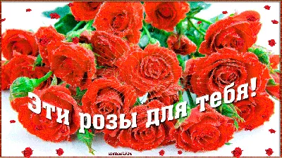 Эти розы для тебя | Розы, Букет цветов, Открытки