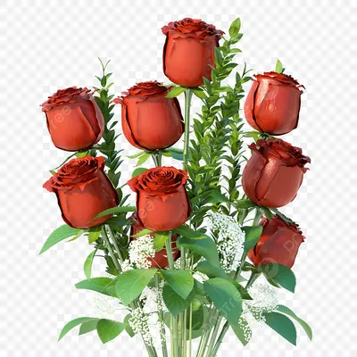 Красные розы в черной коробке, я люблю тебя