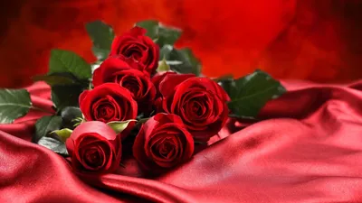 Розы красные 60 см доставка в Красноярске | ФлоРум24