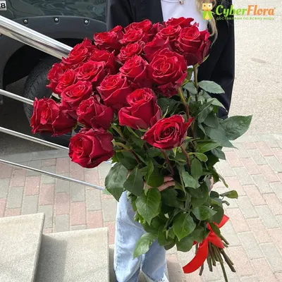 Красные розы недорого: 101 цветок, высота 50 см по цене 17665 ₽ - купить в  RoseMarkt с доставкой по Санкт-Петербургу