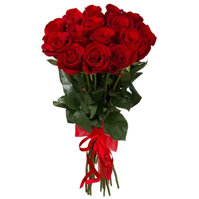 Акция! Розы Красные 51 шт. за 9990 руб. c доставкой в Якутске.