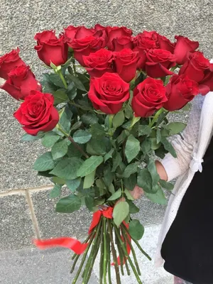 АКЦИЯ! Розы красные премиум 50 см (Эквадор) доставка в Перми | 159buketov.ru