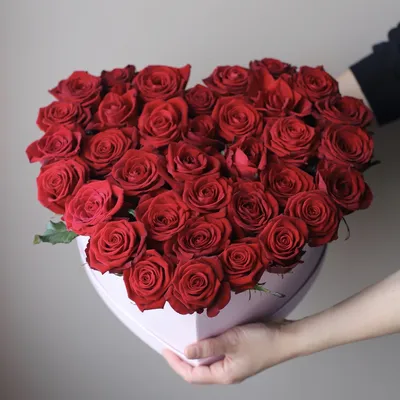 Купить букет из 75 пионовидных красных роз по доступной цене с доставкой в  Москве и области в интернет-магазине Город Букетов