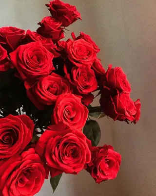 Розы красные доставка в Пензе | daribuket58.ru