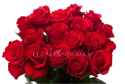 Красные кустовые розы \"Мирабель\" купить в Краснодаре недорого - доставка 24  часа