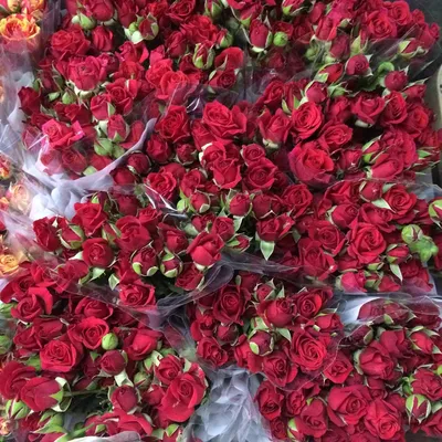 Букет из 31 розы (красные) - Flowers Fairy | Доставка цветов в Курске