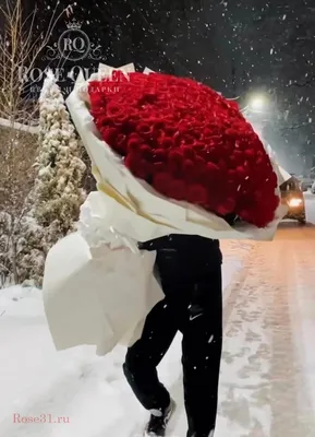 Красивые розы на снегу (81 фото)