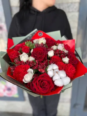 Красные Розы Под Снегом — стоковые фотографии и другие картинки Роза - Роза,  Снег, Белый - iStock
