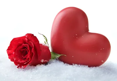 Купить Букет\"Розы на снегу\" в Москве недорого с доставкой