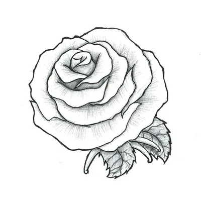 Роза для срисовки легкие для детей (28 шт)