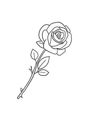 Красивые розы Sweet Eskimo и оксипеталум по цене 4490 руб - купить в Москве  с доставкой