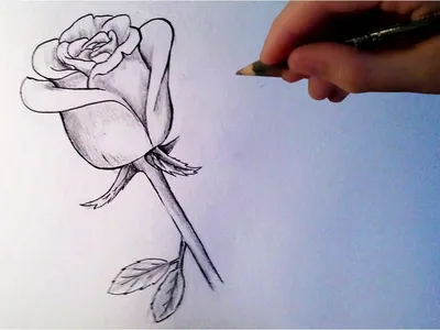 Детский рисунок цветок роза (52 фото) » рисунки для срисовки на Газ-квас.ком