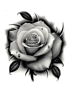 День Матери Рисунок Розы, контур розы, любовь, ребенок, праздники png |  PNGWing