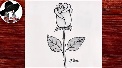 цветок роз ботанический рисунок розы цветы розы абстрактные обобщающие  иллюстрации Иллюстрация штока - иллюстрации насчитывающей живописная,  природа: 271748228