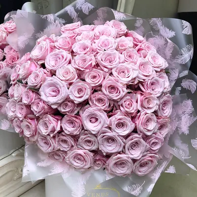 Розовые розы 7 шт. купить за 910 руб. в Пензе с доставкой
