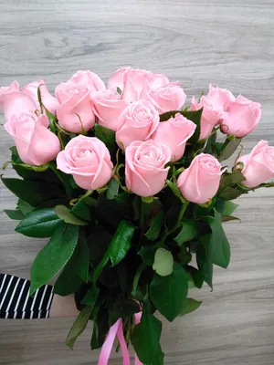 Бело-розовые розы 60 см (Россия) купить с доставкой по цене 6595 ₽ в Нижнем  Новгороде | Букеты от База Цветов 24