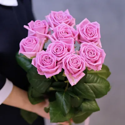 Кустовые нежно-розовые розы