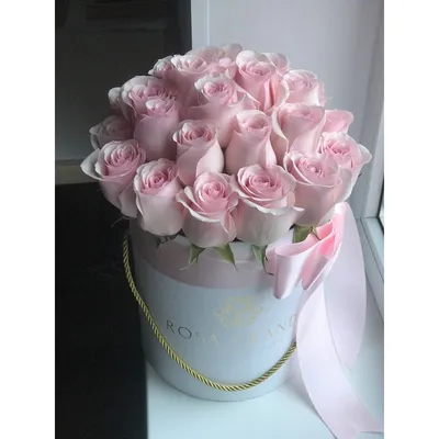 Розы бело-розовые 70см 25 шт ⋆ Букет вам 24