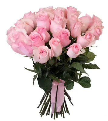 Букет из 119 нежно-розовых роз Купить по выгодной цене в Краснодаре.  Интернет-магазин Ванилла