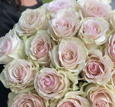 Купить Букет из 25 нежно-розовых роз в Томске - доставка цветов МАКИ