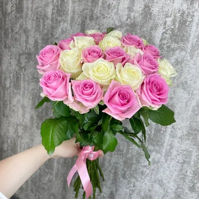 Розы эквадор розовые от 11шт (60см) доставка в Чите | ОптБукет