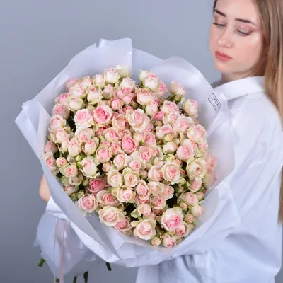 31 нежно-розовая кустовая роза купить в Саратове недорого