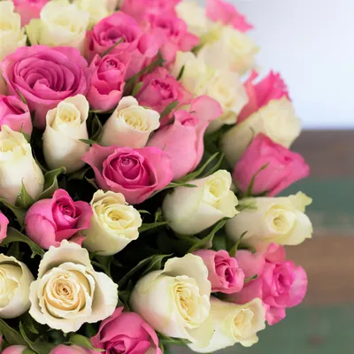 Купить Букет из 51 розовой розы (50 см) с доставкой в Омске - магазин цветов  Трава