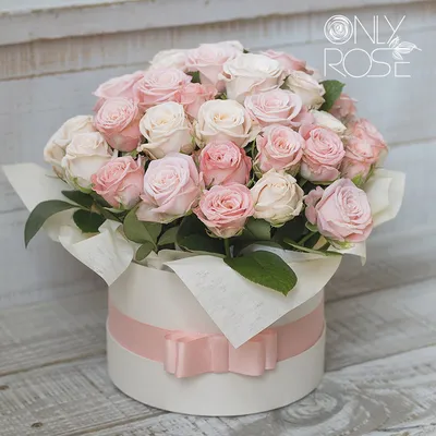 Купить 15 роз в коробке премиум model №540 в Новосибирске