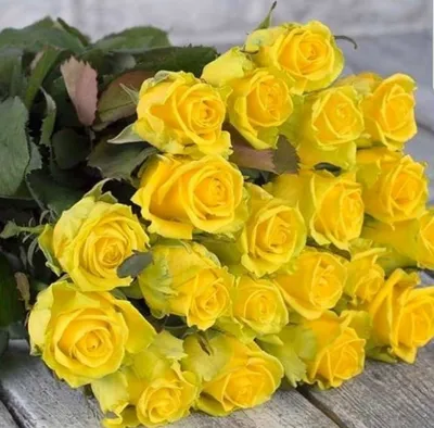 Желтые розы | Букет из желтых роз, Желтые розы, Розы
