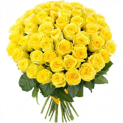 51 желтая роза - Море Роз | Розы по честным ценам