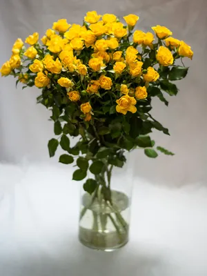 Оливия: кустовые пионовидные жёлтые розы с эвкалиптом по цене 9320 ₽ -  купить в RoseMarkt с доставкой по Санкт-Петербургу