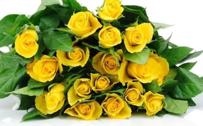 Купить желтые розы Харьков - Заказать букет от KVITOLUX