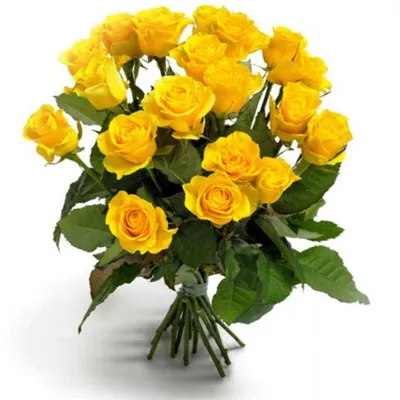 Желтые розы | GiftGarden - Купить цветы, подарки и многое другое - товары  высшего качества
