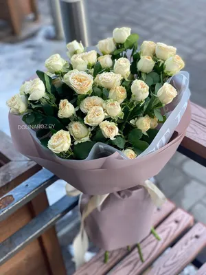 Заказать Роза желтая в Витебске по цене 9 руб. с доставкой цветов по городу.