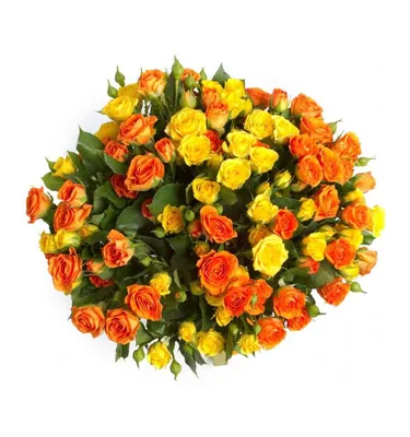 ТОП-10 сортов жёлтых роз