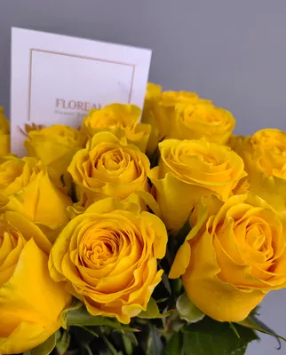 Розы Эквадор поштучно желтые - Доставка свежих цветов в Красноярске