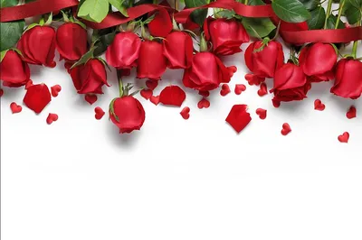 Купить фотообои Красные розы на белом фоне на Wall-photo.ru - интернет  магазин фотообоев. Недорогие фотообои на заказ