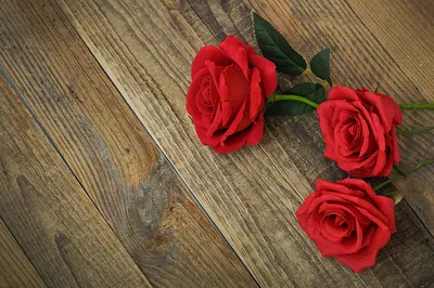 Обои на телефон Розы | Flower pictures, Wedding flowers roses, Wedding  flowers
