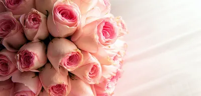 Букет Роз На Белом Фоне Роуз - Бесплатное фото на Pixabay - Pixabay