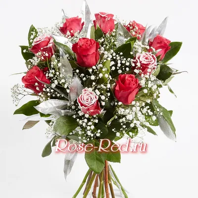 3 розы на день рождения купить с доставкой по Томску: цена, фото, отзывы.