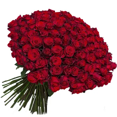 Красные розы обои для рабочего стола, картинки и фото - RabStol.net