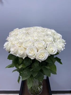 Красные розы в шляпной коробке K-08 купить по цене 6500.00 руб. с доставкой  по Туле – интернет-магазин «Расцветочка»