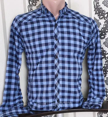 Белая мужская рубашка в среднюю синюю клетку - INTELGA Приталенная рубашка