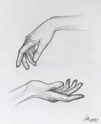 Женская рука рисунок карандашом - 57 фото