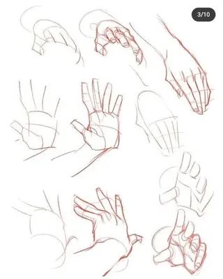Как Нарисовать Руку Человека (54 Фото)