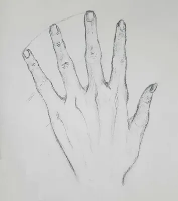 рисунки человеческих рук из природы. рисование карандашом Иллюстрация штока  - иллюстрации насчитывающей предмет, диаграмма: 237957762