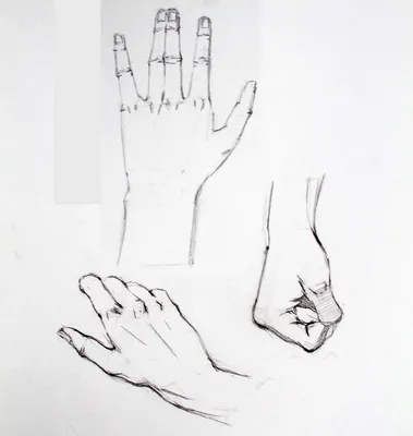 Рисунок рук. Графика простым карандашом. #рисуноккарандашом #рисунокрук  #рисункилирызахаровой | Hình, Toàn thân