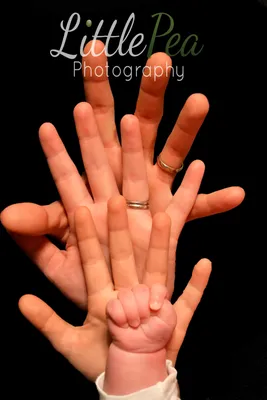 Cropped Image Of Family Holding Hands With Free Stock Photo and Image  219469738