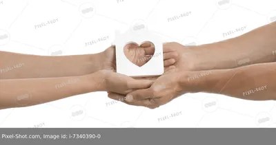 Руки семьи с домиком на белом фоне :: Стоковая фотография :: Pixel-Shot  Studio