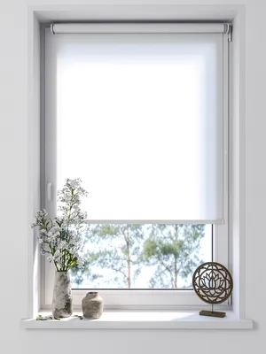 Рулонные шторы Бинар Плейн , размер 63,5х180 см, белый, Полиэстер купить по  низкой цене с доставкой в интернет-магазине OZON (201956625)